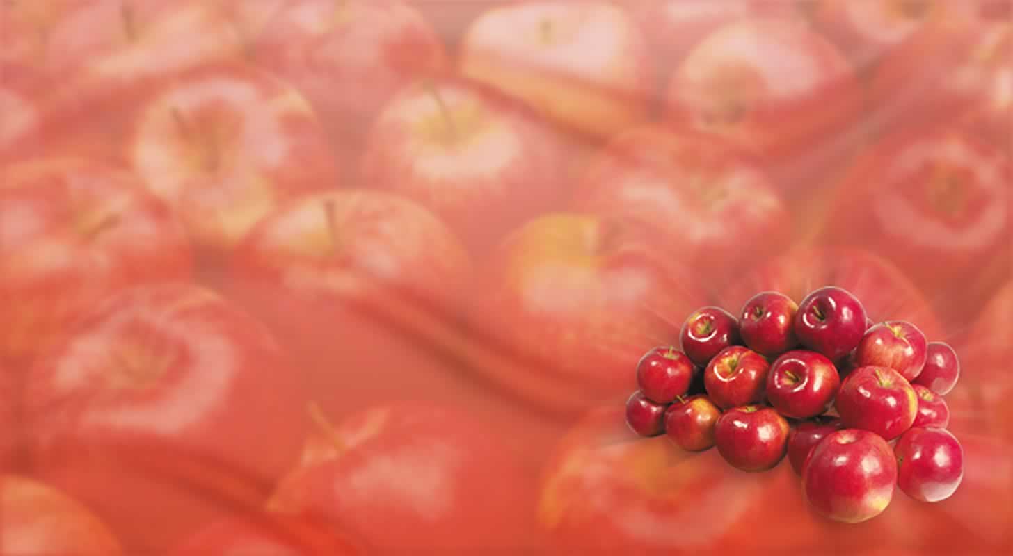 Wine from apples: 9 recipes at home