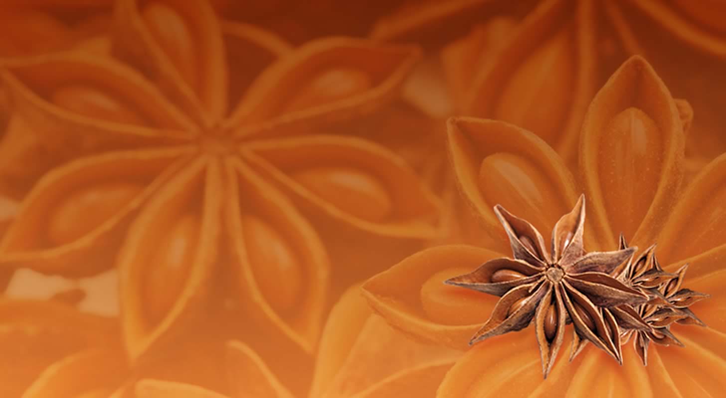 Anise vodka - a recipe for cooking at home