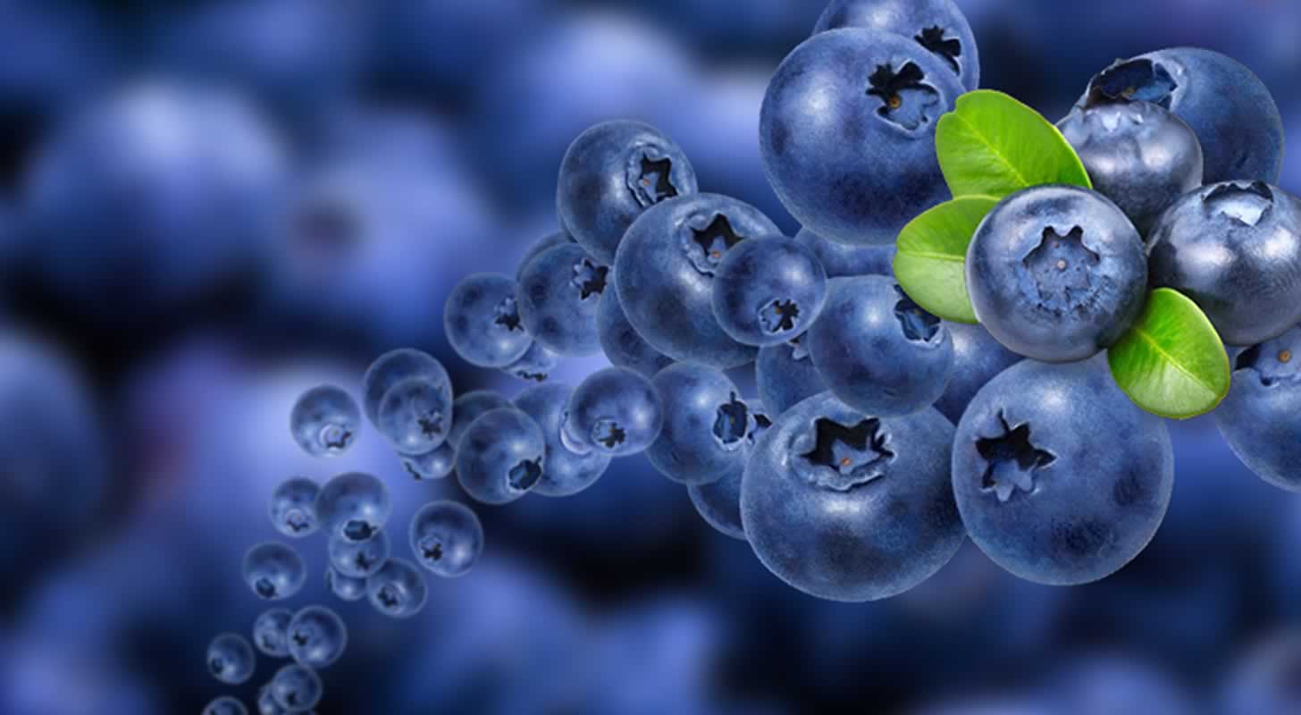 Wine from blueberries: 2 recipes at home