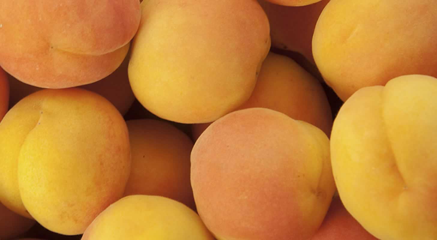Apricot brandy: 2 recipes at home