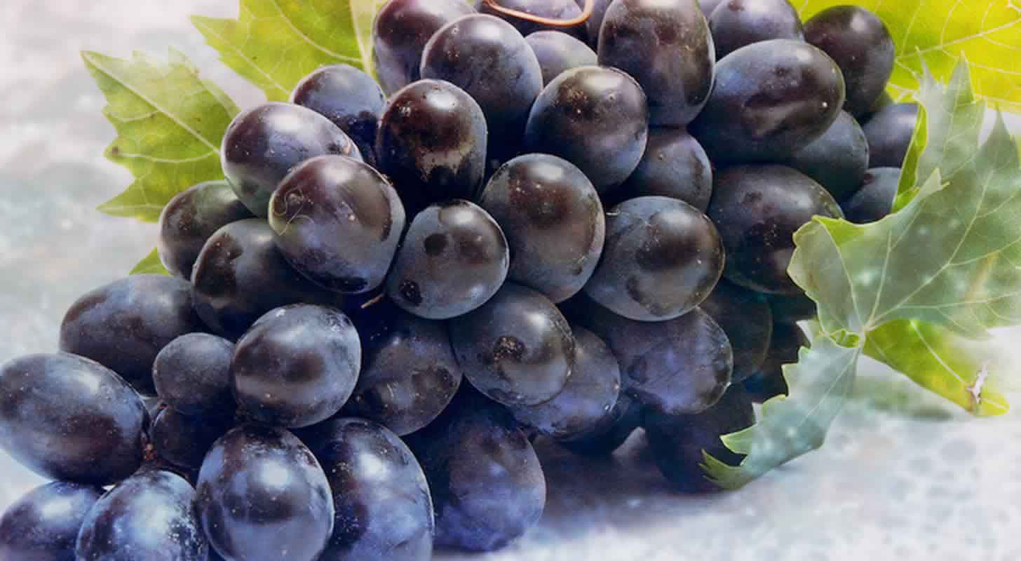 Chacha: 5 recipes at home