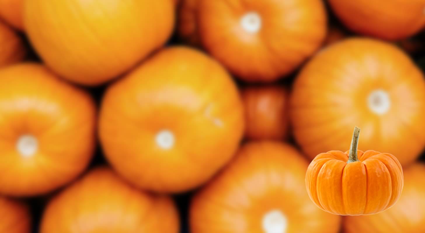 Moonshine from pumpkin: 3 recipes at home