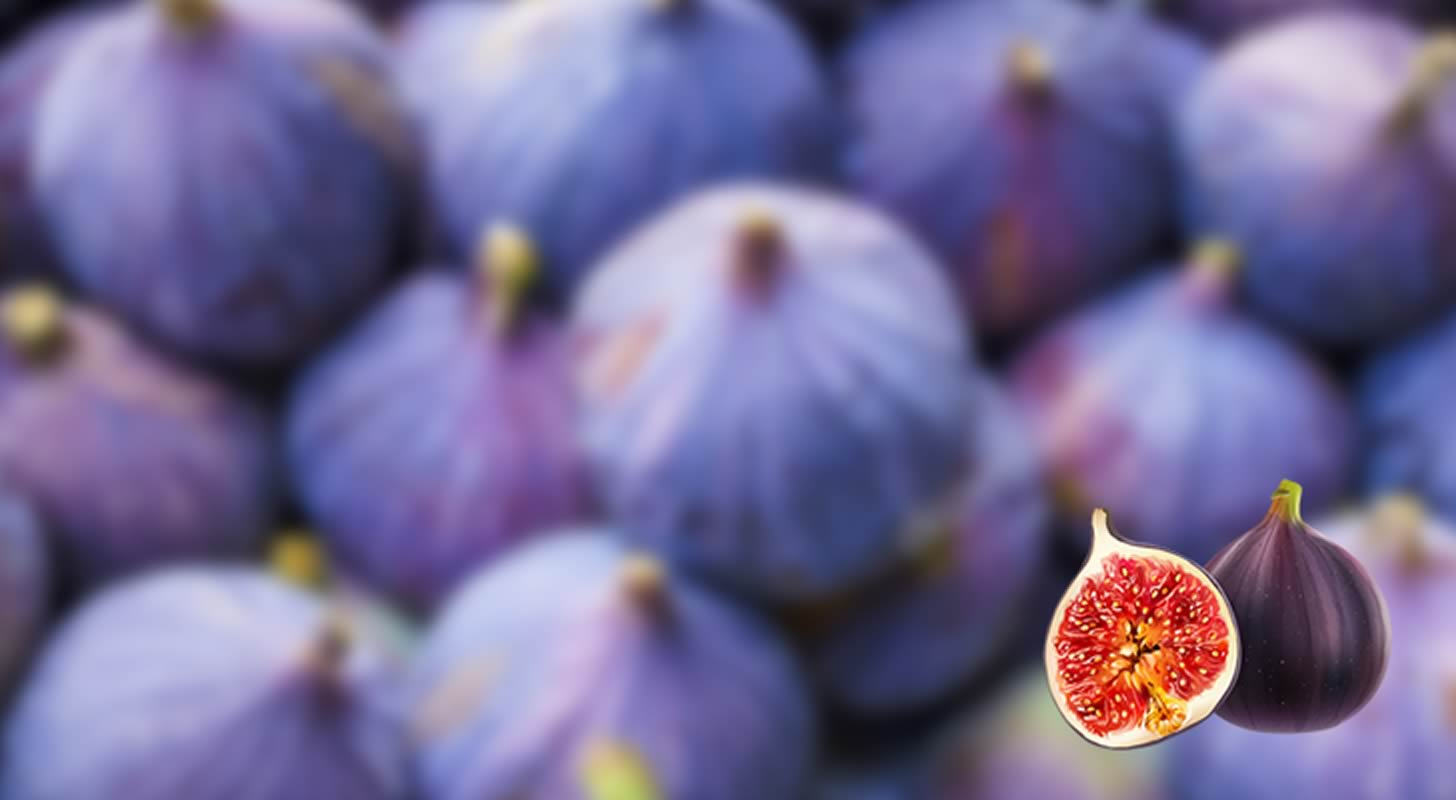 Tincture on figs: 5 recipes at home