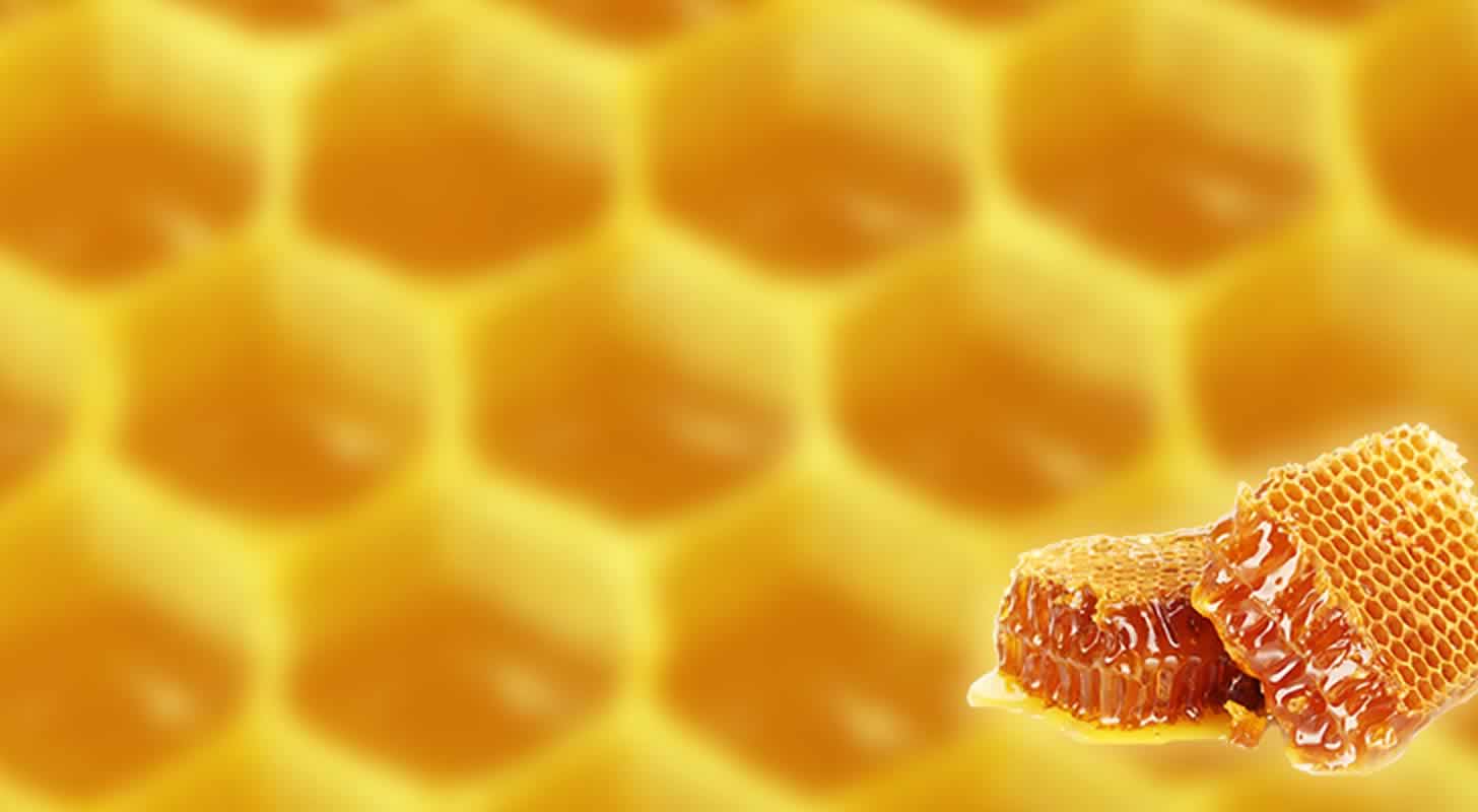 Honey liqueur: 5 recipes at home