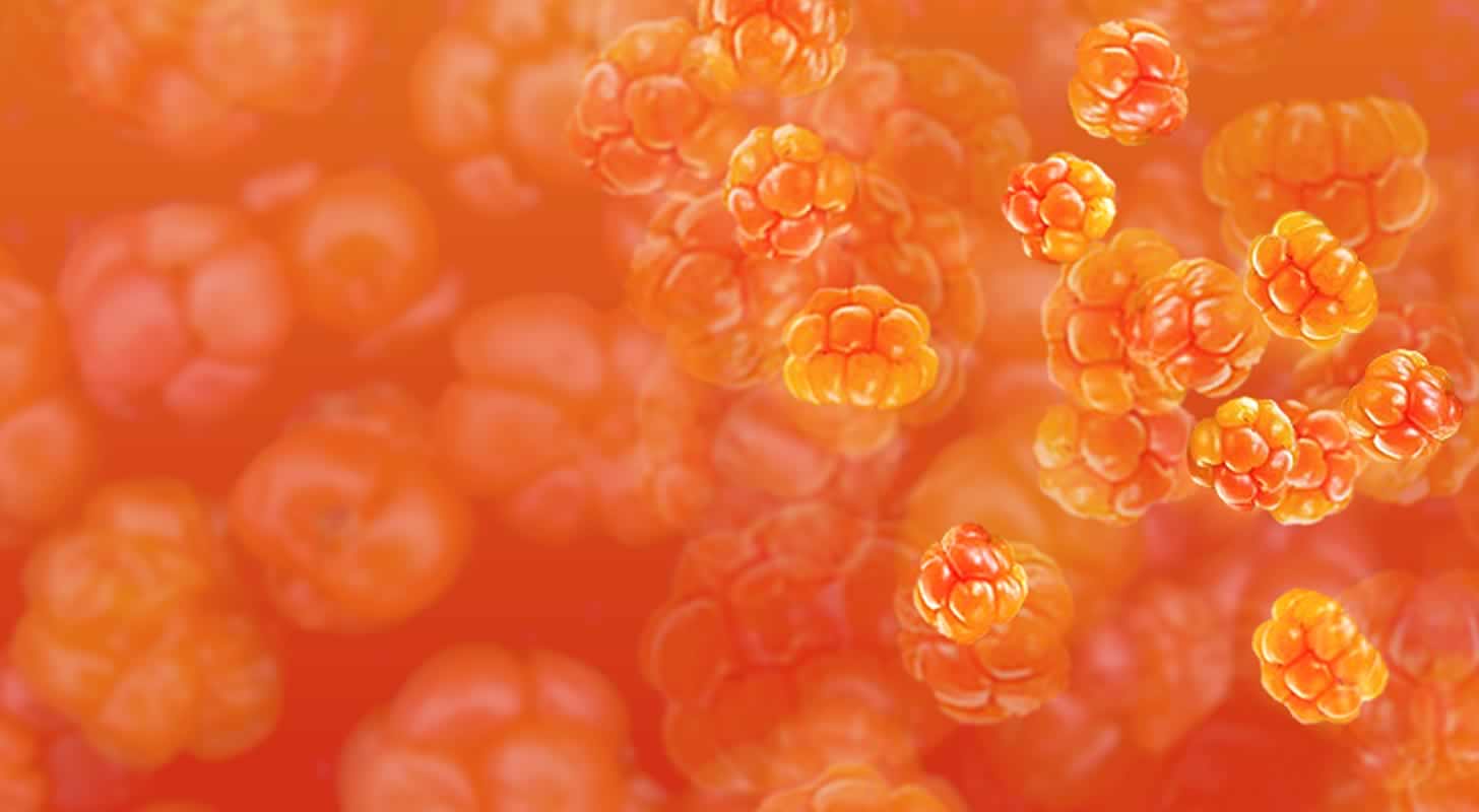 Cloudberry liqueur and liqueur: 3 recipes at home