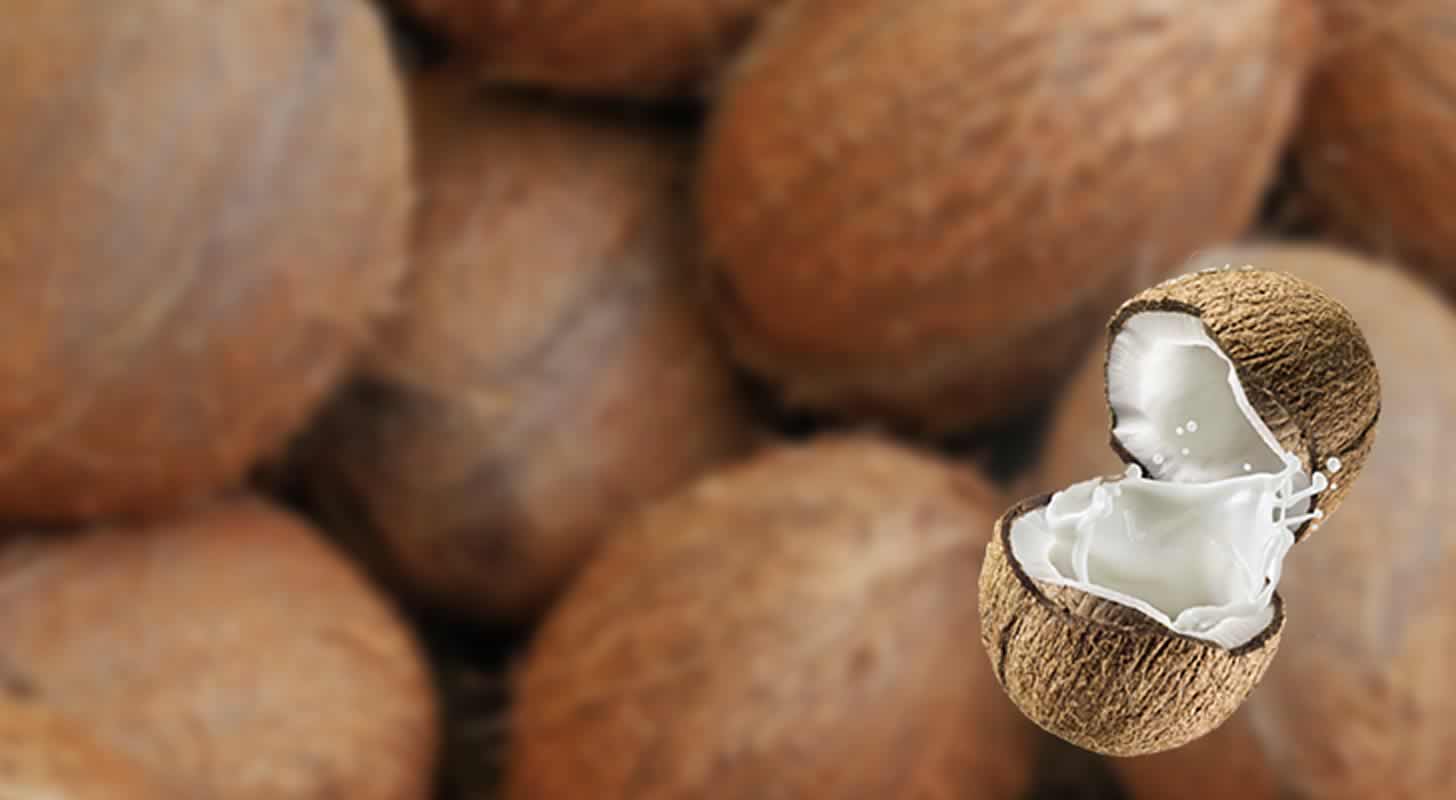 Coconut liqueur: 2 recipes at home