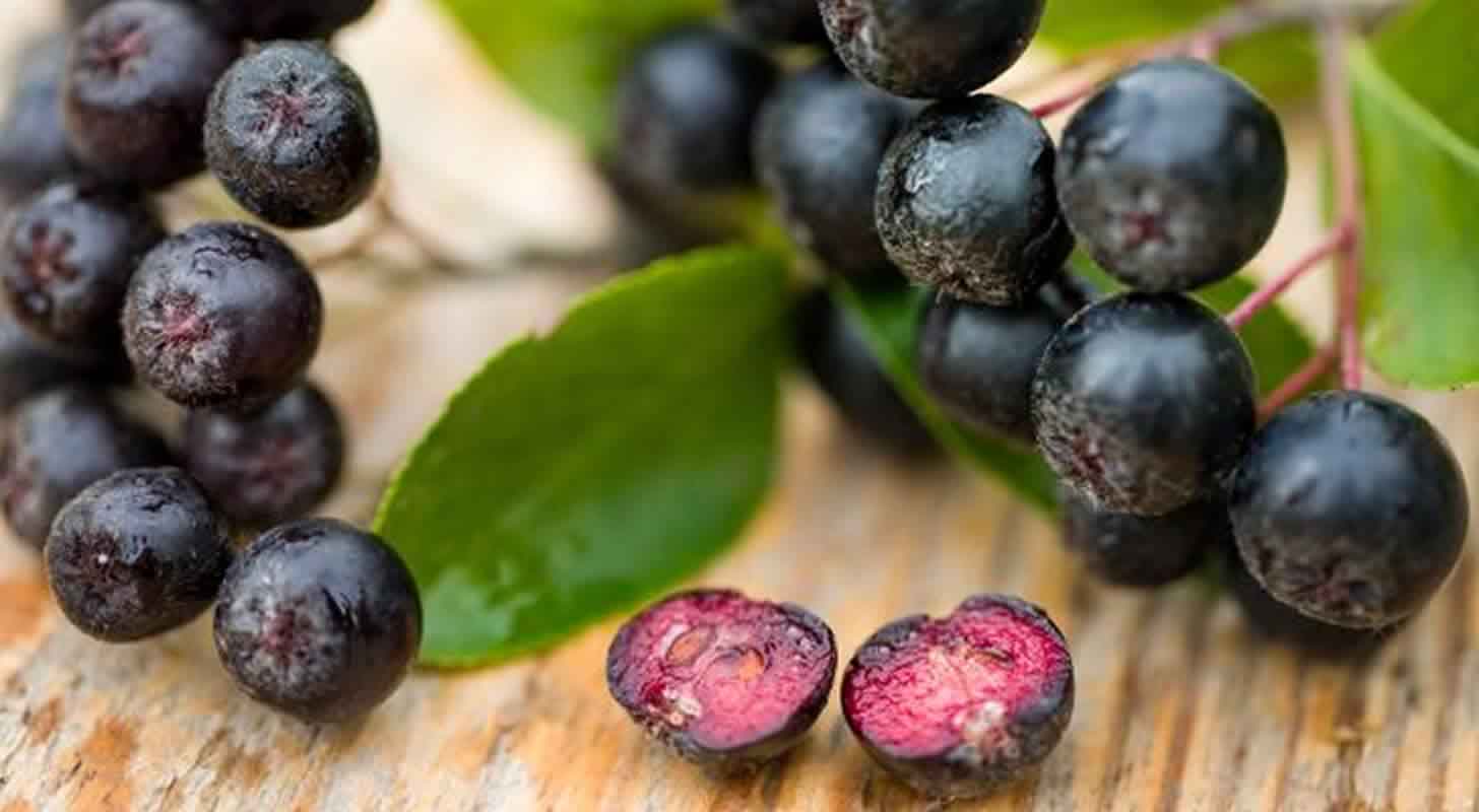 Tincture of chokeberry: 7 recipes at home