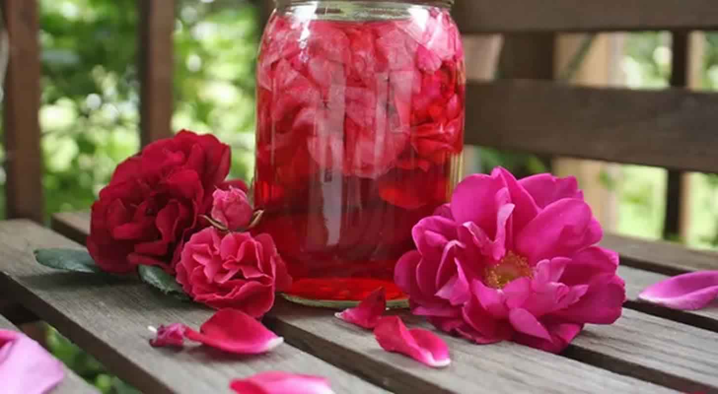 Liqueur from the rose: 7 recipes at home